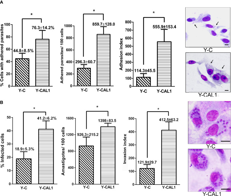 Figure 6