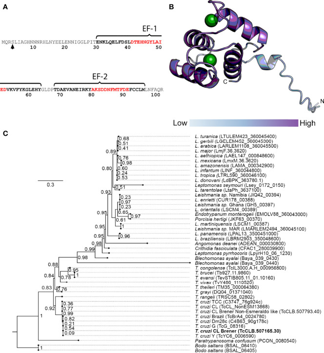 Figure 2