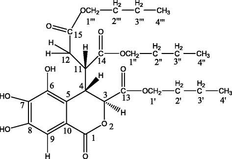 Fig. 3