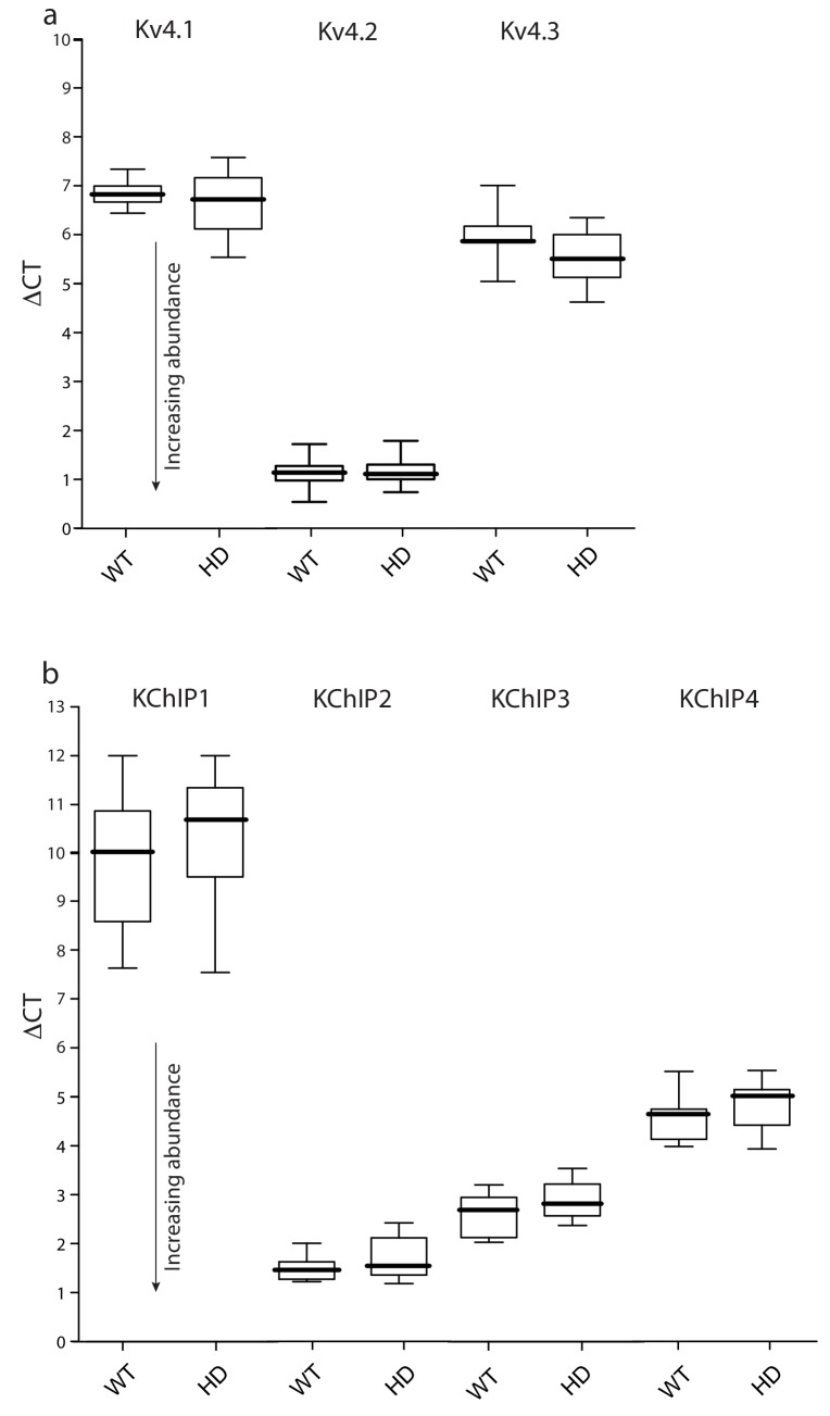 Figure 3—figure supplement 1.