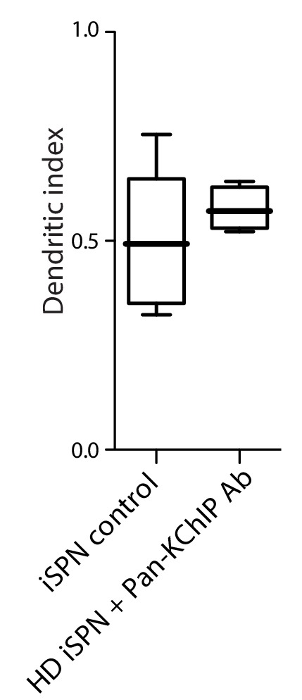 Figure 3—figure supplement 3.