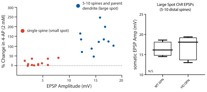 Figure 2—figure supplement 2.