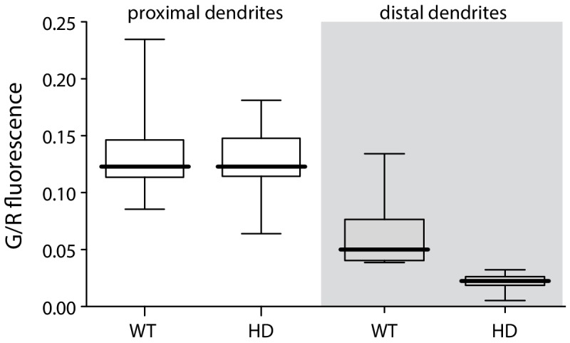 Figure 1—figure supplement 1.