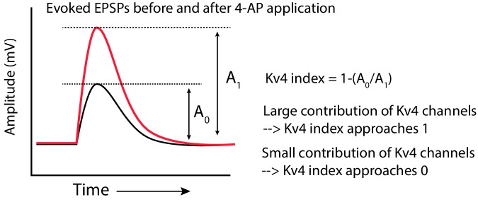 Figure 2—figure supplement 3.