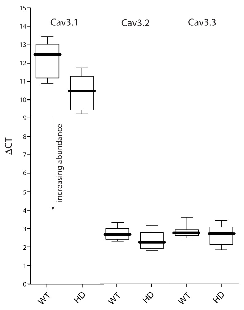 Figure 1—figure supplement 2.