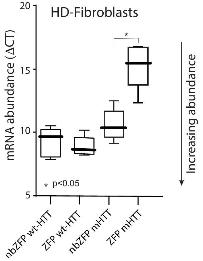 Figure 6—figure supplement 1.