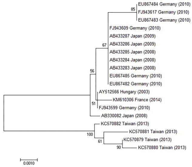 FIGURE 6