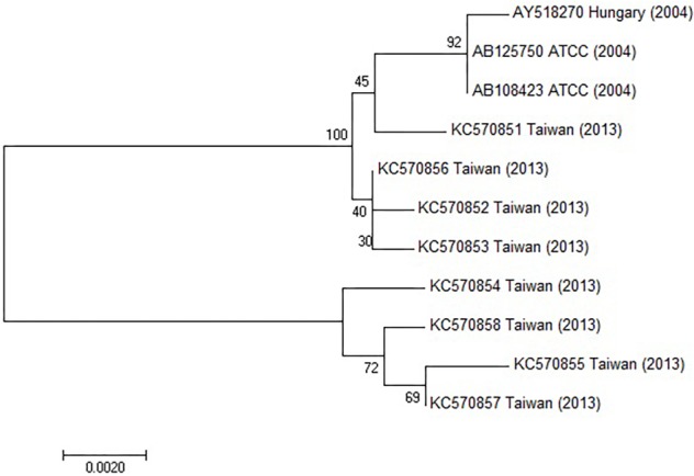 FIGURE 7