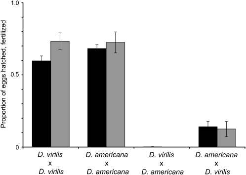 Figure 3.—