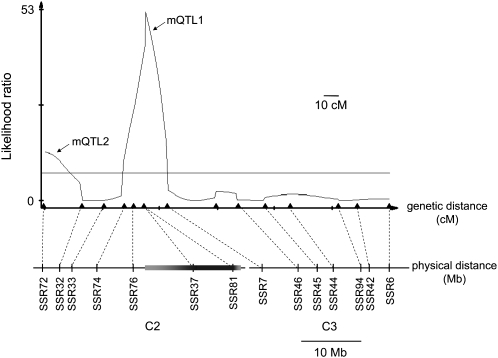 Figure 5.—