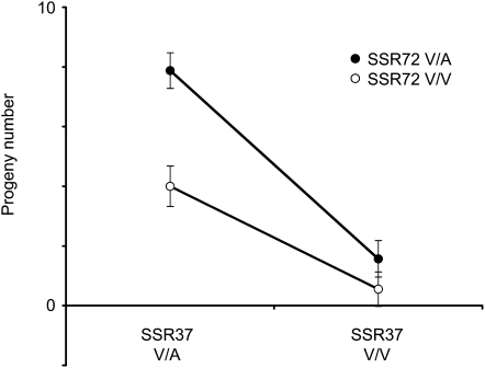 Figure 6.—