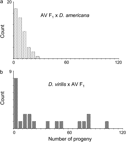 Figure 4.—