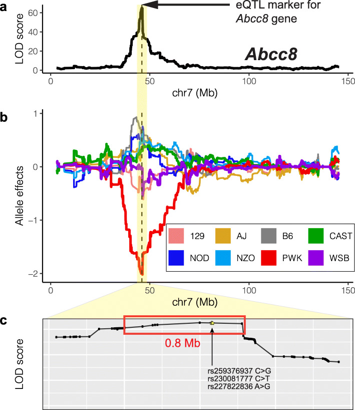 INFIMA leverages multi-omics model organism data to identify effector genes of human GWAS variants.