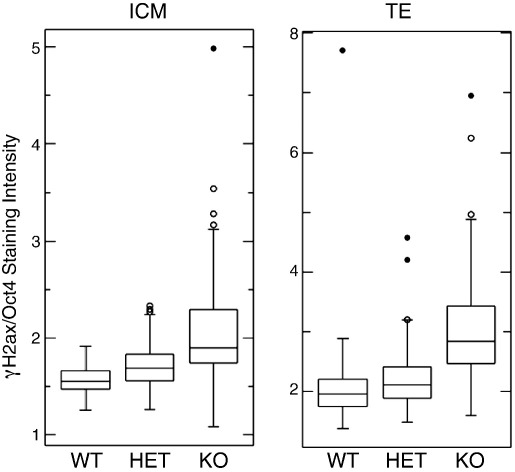 Fig. 6