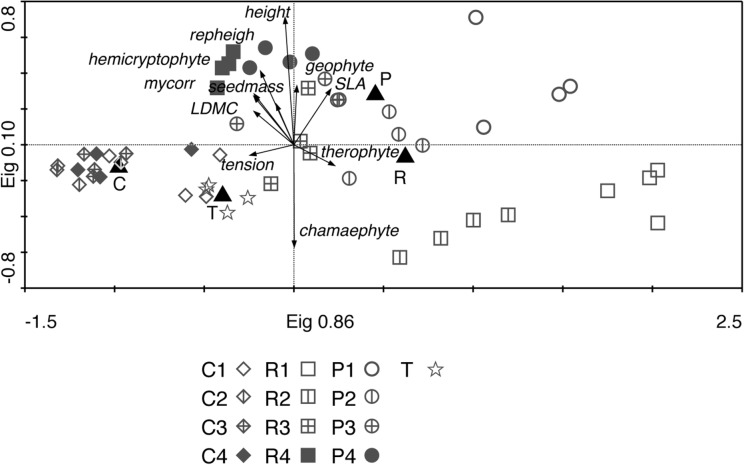 Fig 5