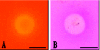 FIG. 5.