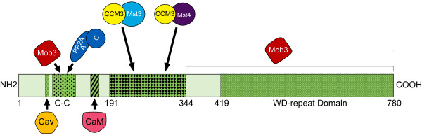 Figure 10