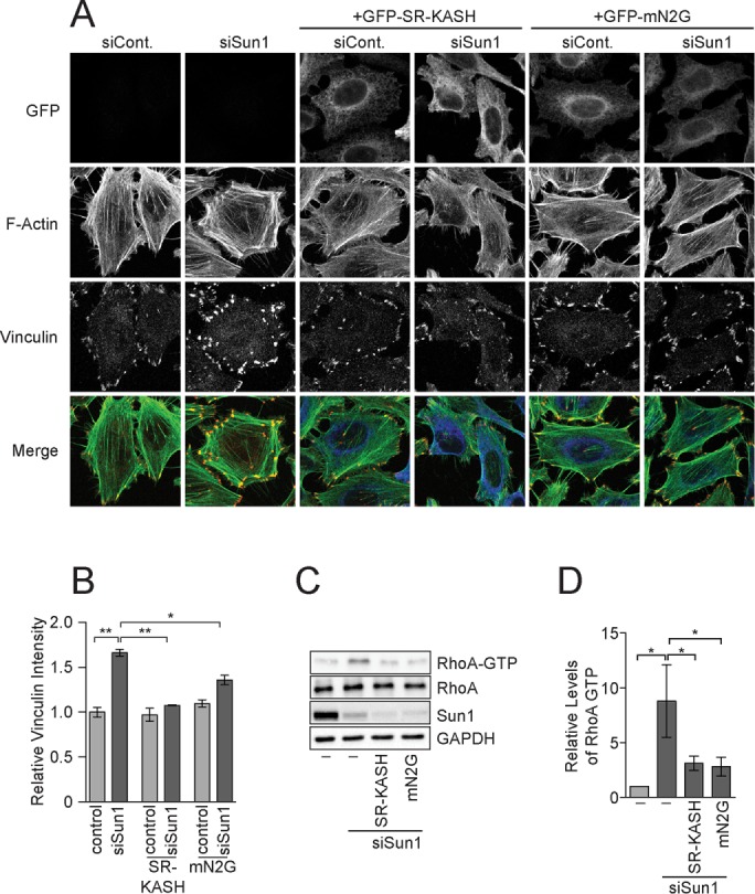 FIGURE 2: