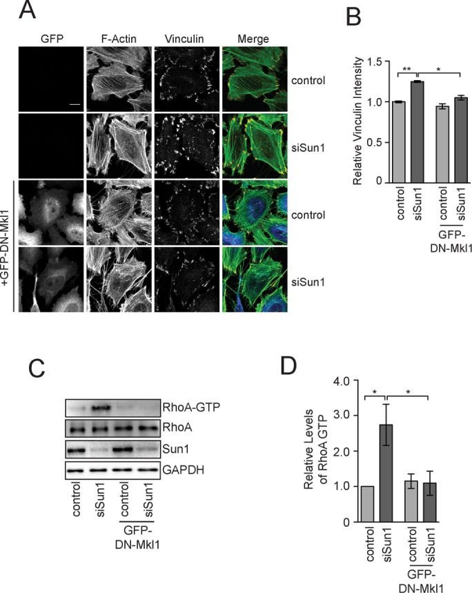 FIGURE 4: