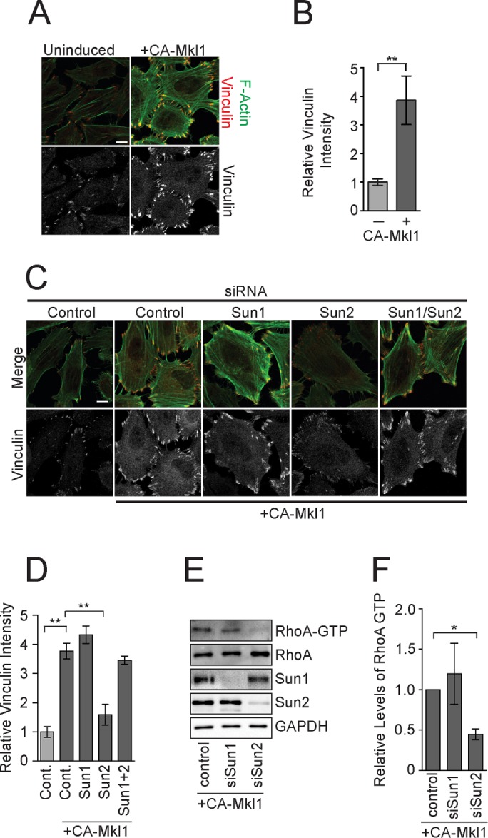 FIGURE 6: