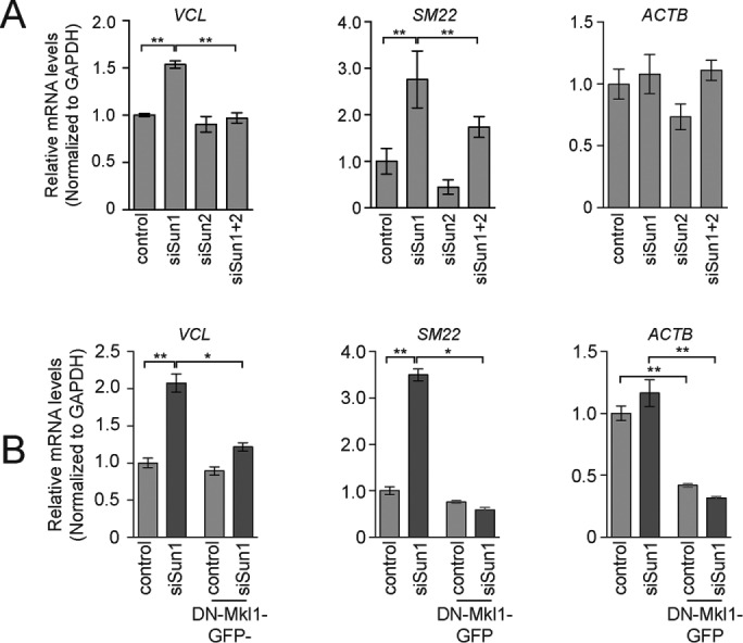 FIGURE 3: