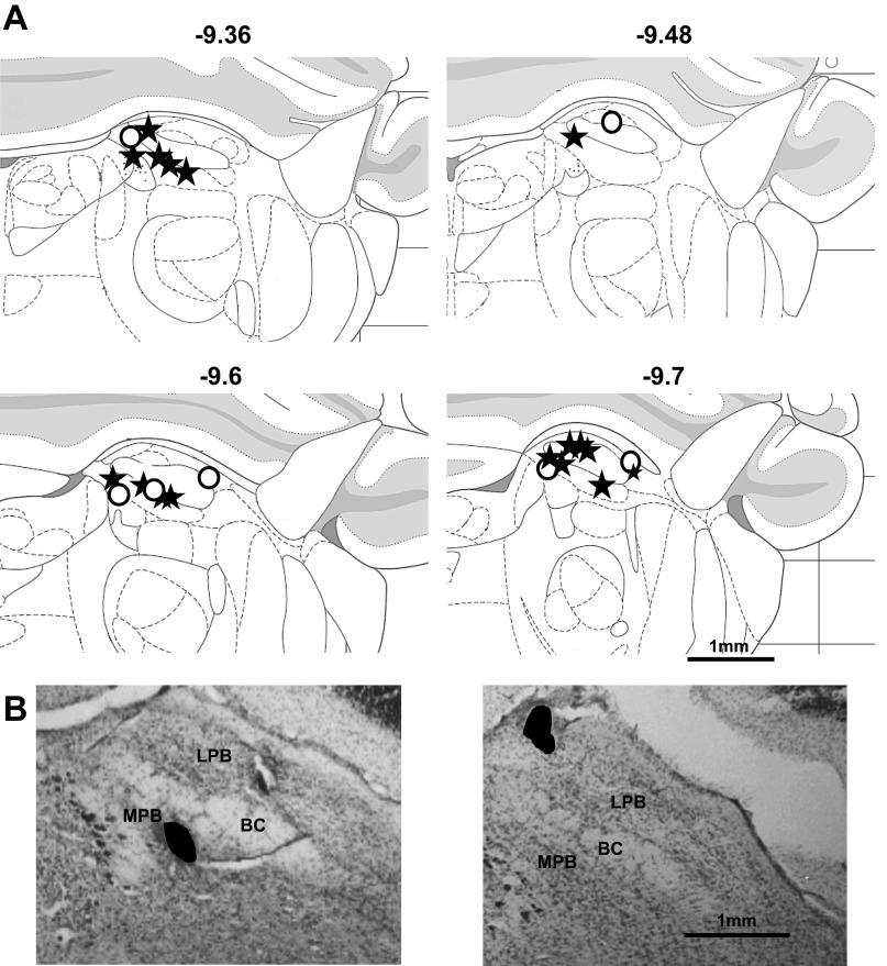 Fig. 13.