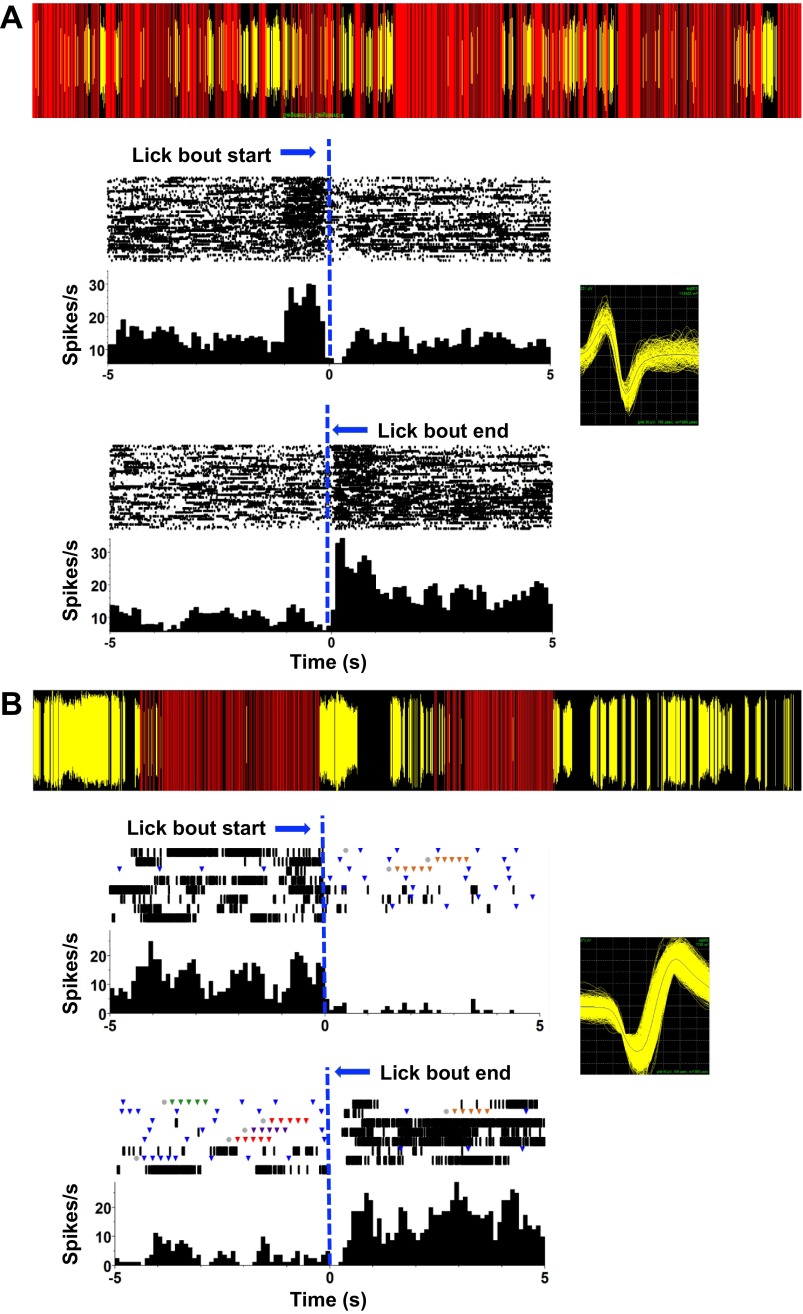 Fig. 10.