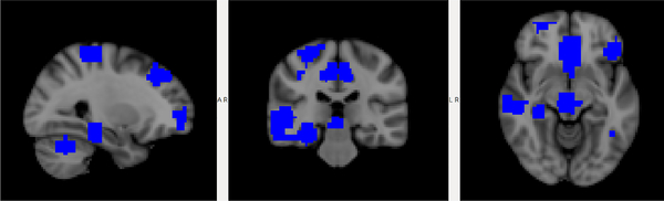 Fig. 7: