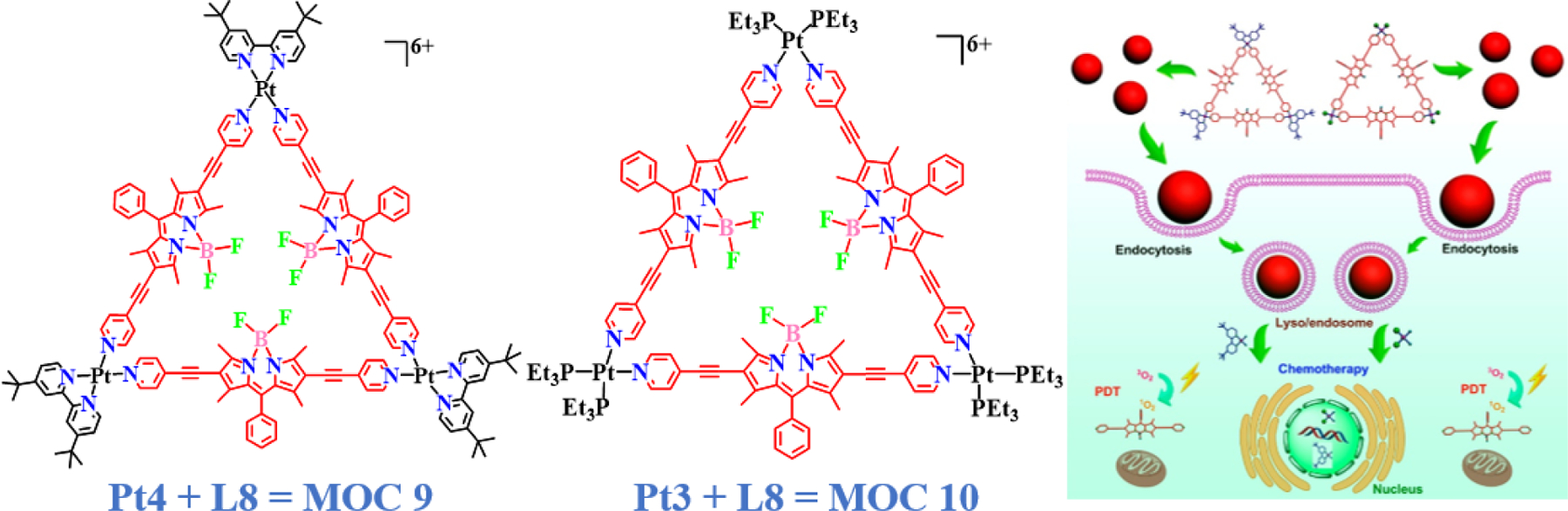 Fig. 6.