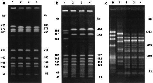 FIG. 1