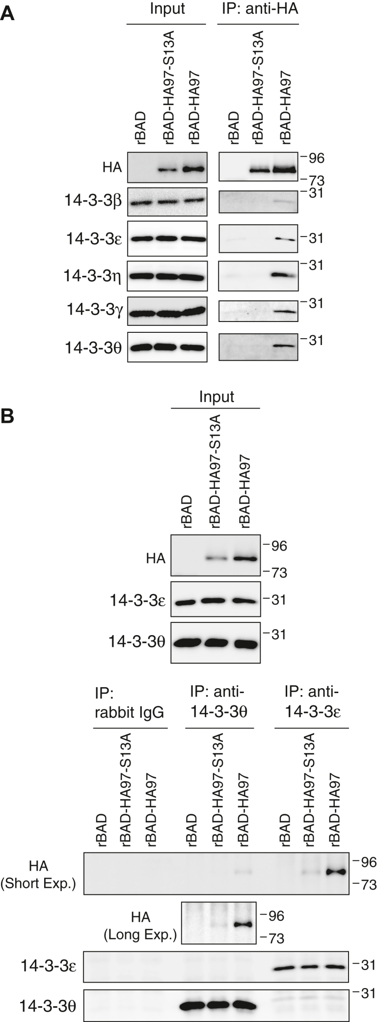 Figure 9