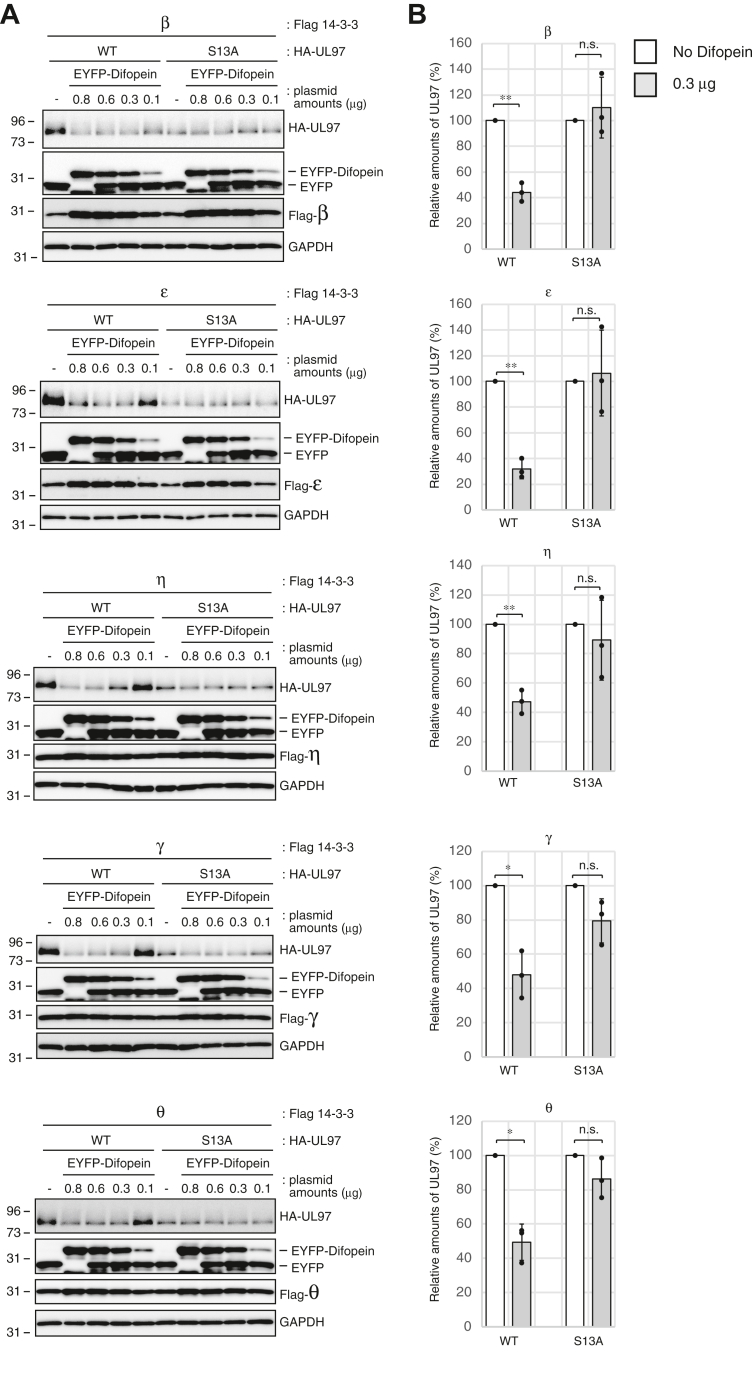 Figure 6