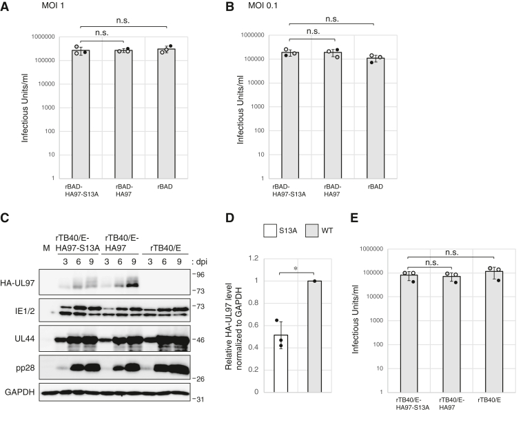 Figure 12