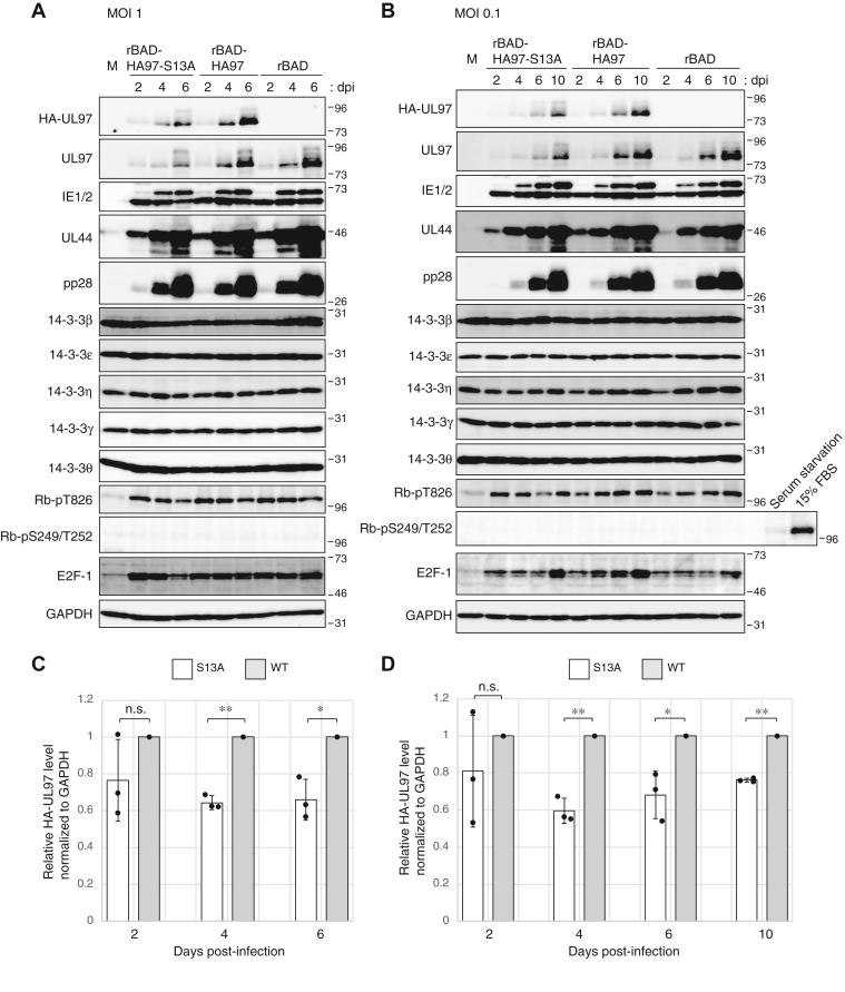 Figure 11