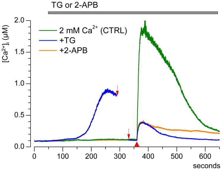 Fig. 7