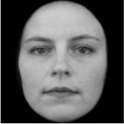 graphic file with name fpsyg-12-674456-i0008.jpg