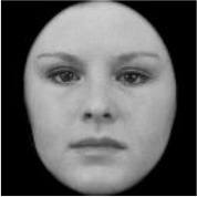 graphic file with name fpsyg-12-674456-i0020.jpg