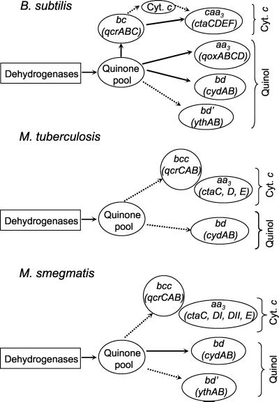 FIG. 7