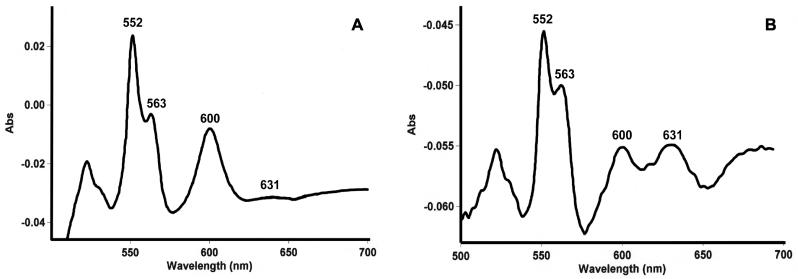 FIG. 5