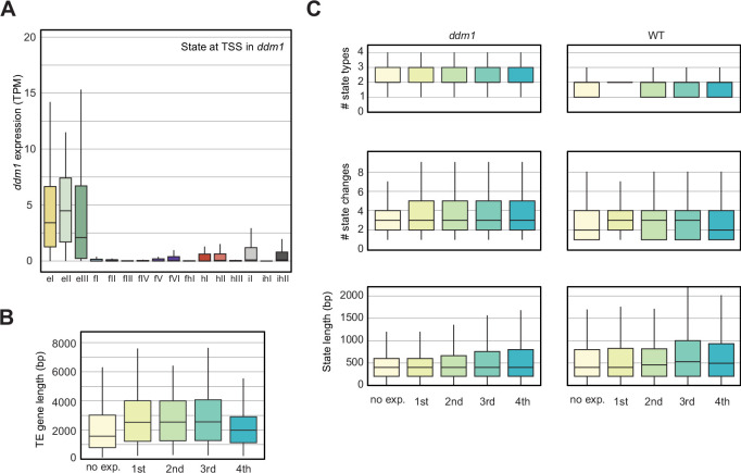 Figure 4—figure supplement 2.