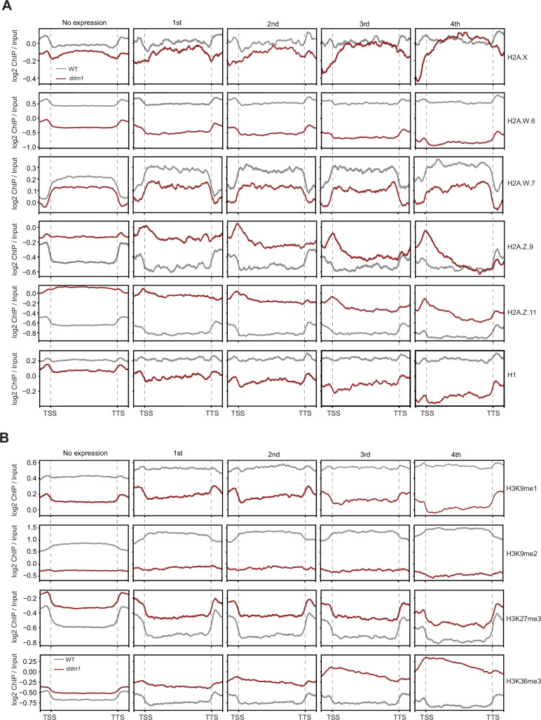 Figure 4—figure supplement 1.