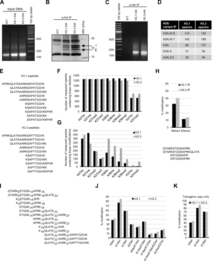 Figure 1—figure supplement 1.