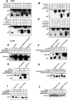 FIG.6.