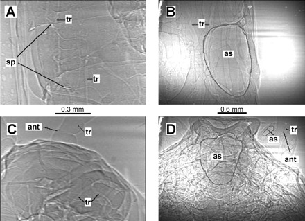 Fig. 3.