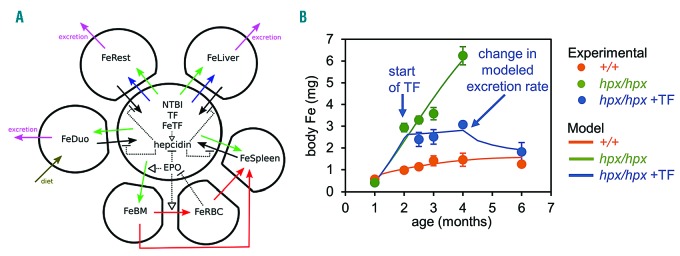 Figure 6.