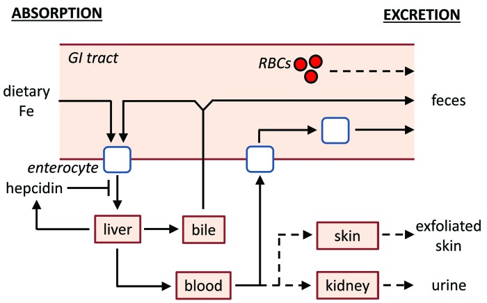 Figure 7.