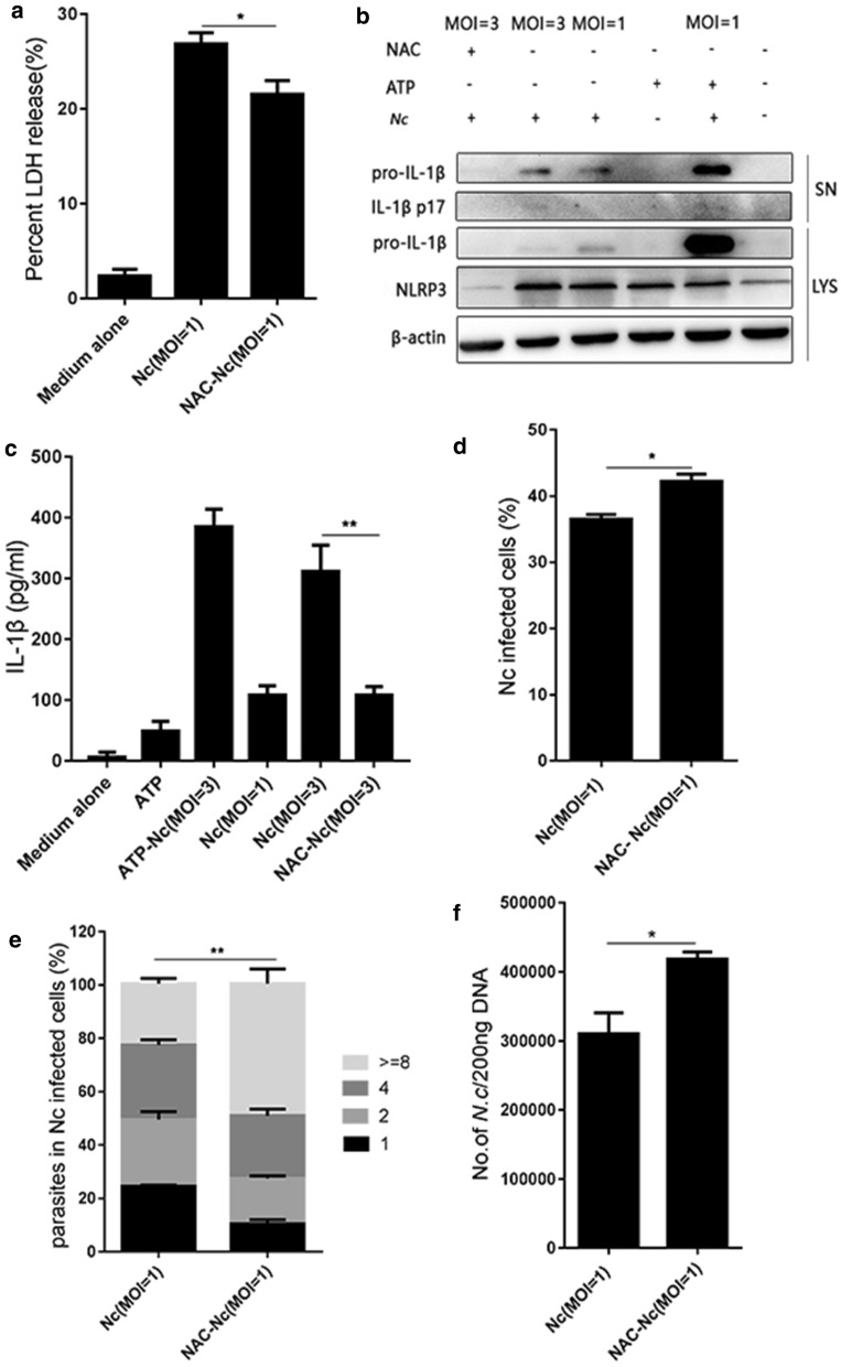 Fig. 2