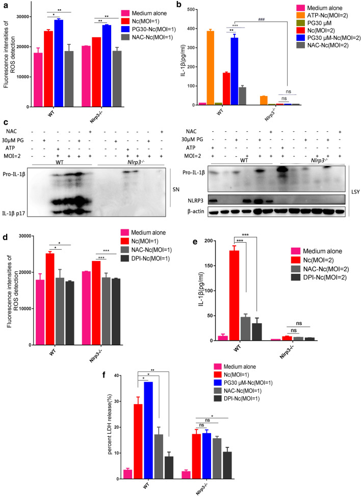 Fig. 4