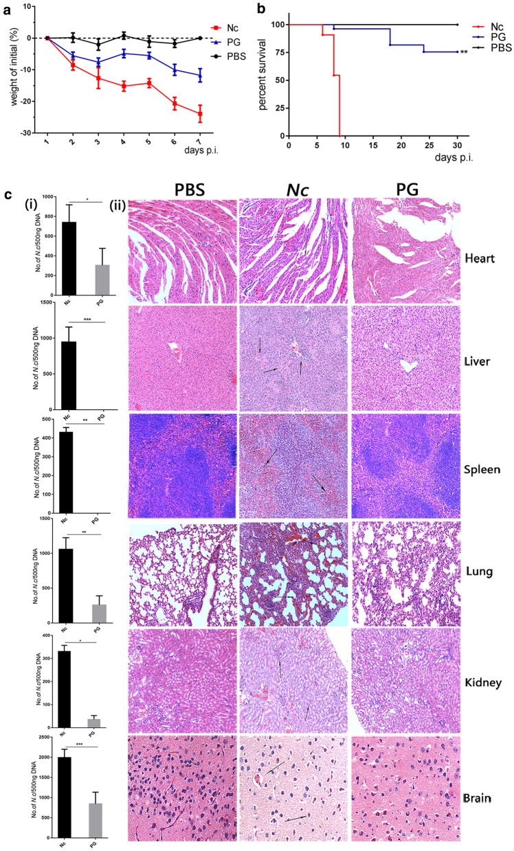 Fig. 6