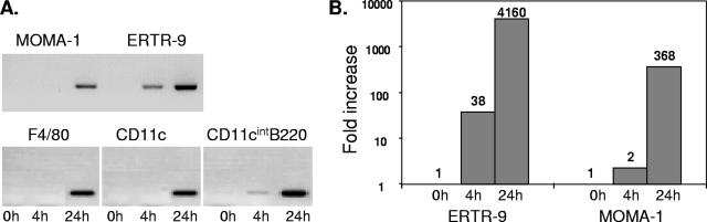 FIG. 3.